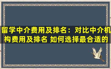 留学中介费用及排名：对比中介机构费用及排名 如何选择最合适的留学服务